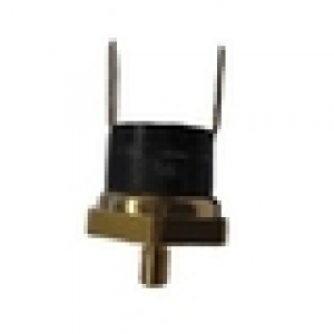 Termostato 100° fondello a vite M 4 x 5 mm faston verticali da 6,3mm